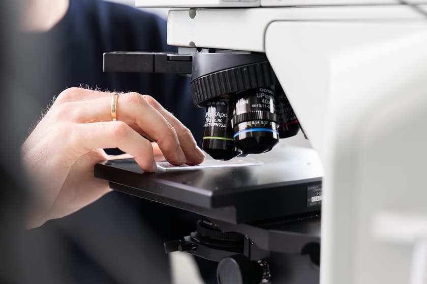 dermhist heidelberg diagnostik